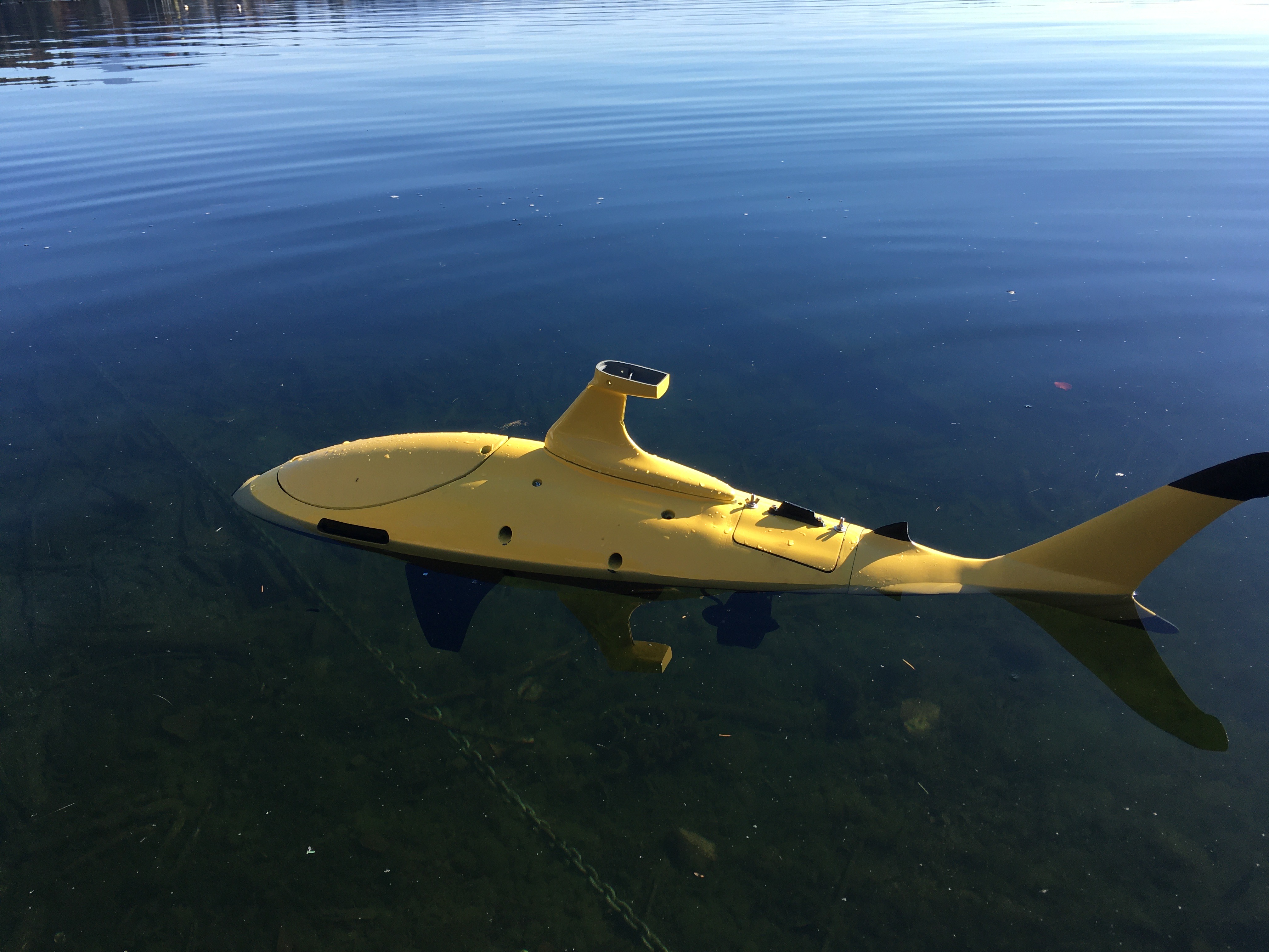Blacktip Autonomous Marine Robot